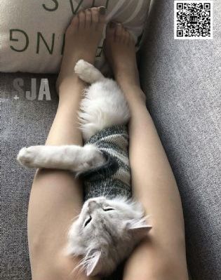凡人歌电视剧