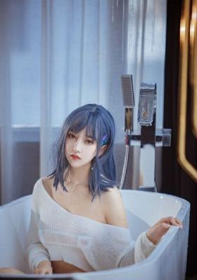 完美奴仆