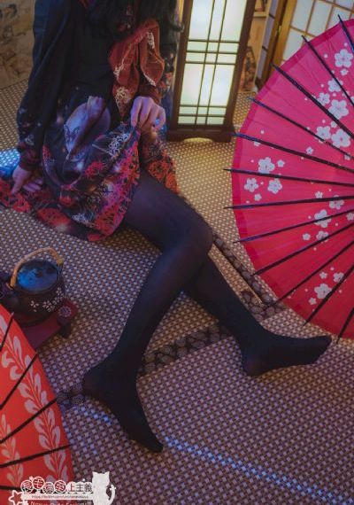 雪鹰领主在线观看