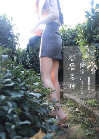 盖亚奥特曼中文版免费观看