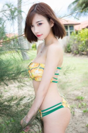 月光宝盒免费高清完整版
