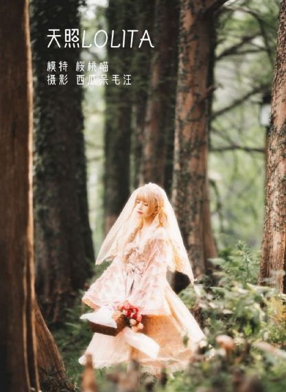 孤注一掷在线免费完整观看