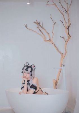特级黄色毛片视频片子